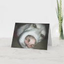 Recherche de malheureux vœux cartes Dog