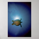 Search for scuba diving art Nautical
