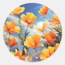 Search for california poppy stickers Floral