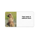 Search for grizzly return address labels Bear
