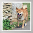 Search for shiba inu posters Japanese