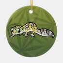 Search for leopard gecko ornaments Pet