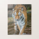 Search for predator puzzles Portrait