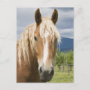 Search for looking front horizontal postcards Rural scene