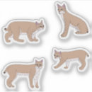 Search for bobcat stickers Nature