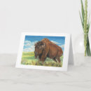 Search for american bison cards Animal