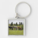 Search for calgary keychains Canada