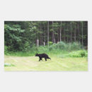 Search for black bear stickers Nature