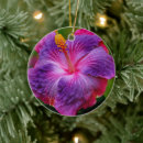 Search for hibiscus ornaments Tropical