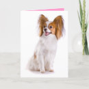 Search for papillon cards Puppies