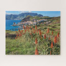 Search for madeira puzzles Landscape