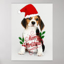 Search for beagle puppy posters Dog