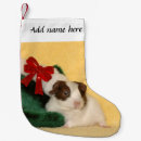 Search for pig christmas stockings Red