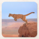 Search for mountain lion coasters Usa