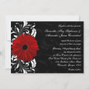 Search for gerbera daisy wedding invitations Red