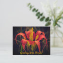 Recherche de lys cartes postales Botanique