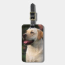 Recherche de foyer bagages étiquettes Animal