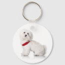 Recherche de doggies keychains Dogs