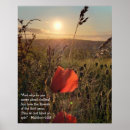 Search for grass flower posters Nature