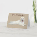 Search for standard poodles cards Miniature poodle