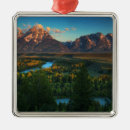 Recherche de snake ornements La rivière snake