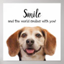 Recherche de souriant posters Chiens