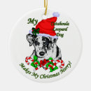 Search for catahoula ornaments Catahoula leopard dog