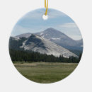 Search for nevada ornaments Photography