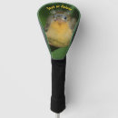 Search for oriole Bird