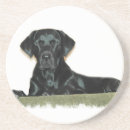 Search for black labrador coasters Retriever