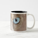 Search for square head mugs Looking at camera