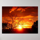 Search for squash posters Nature