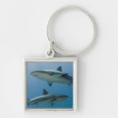 Search for pete keychains Superstock