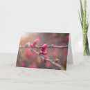 Search for spring bud cards Nature