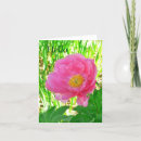 Search for hello greeting photography Floral