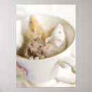Search for color mouse posters Horizontal