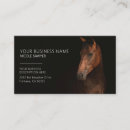 Recherche de cheval équin Cowboy