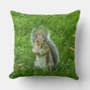 Recherche de écureuils gris coussins Faune