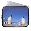 Search for antarctic peninsula electronics Snow