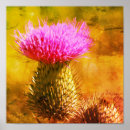 Search for thistle art Nature