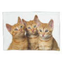 Search for friend pillowcases For kids