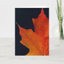 Search for low angle view cards Nature