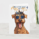 Search for irish terrier Dogs