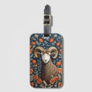Search for big horn Sheep