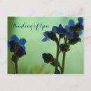 Search for feeling blue For her