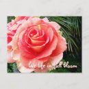 Recherche de style photographique cartes postales Pour tous
