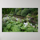 Recherche de zen posters Fleurs