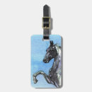 Search for cheval accessories Horse