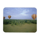 Recherche de savane magnets Africain