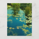 Search for lily pad postcards Tropical